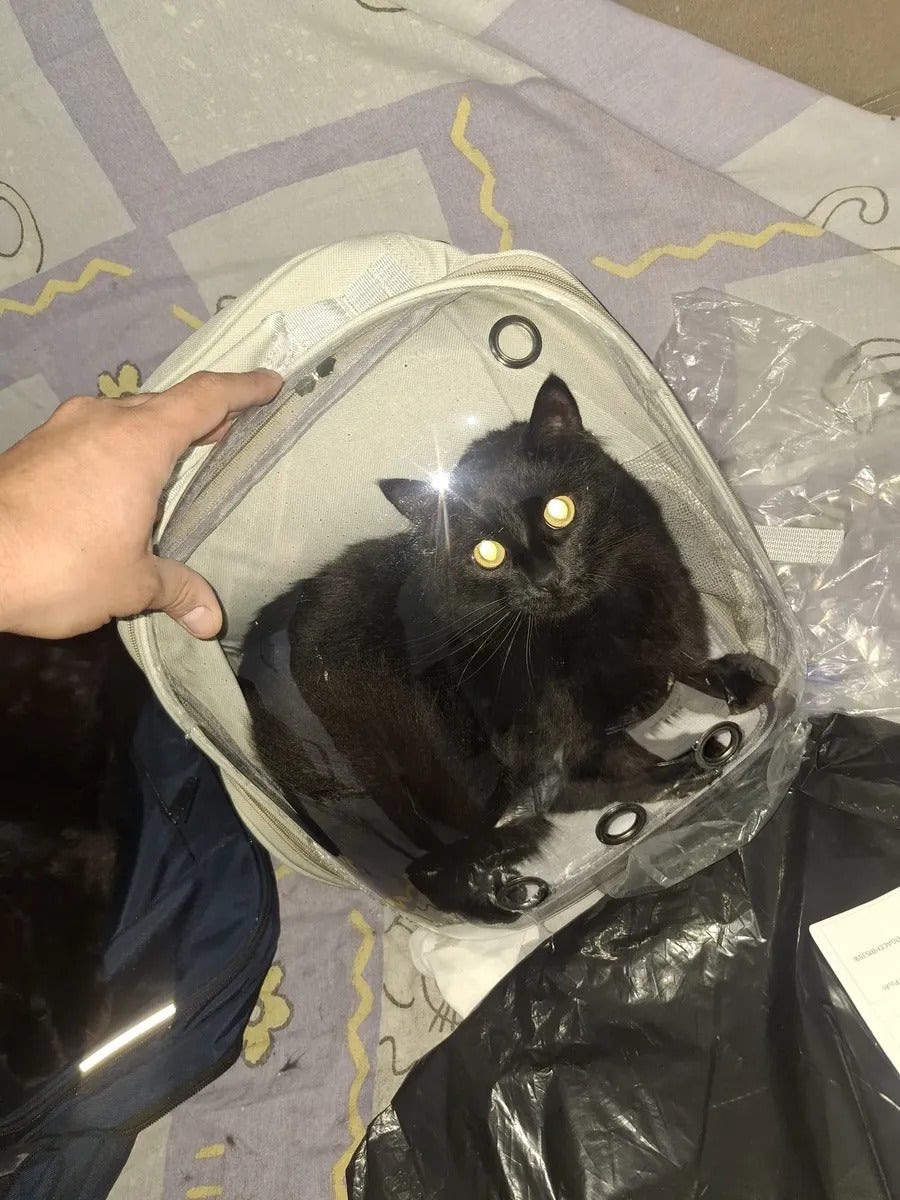 MALETA TIPO CAPSULA MASCOTAS PERRO GATO