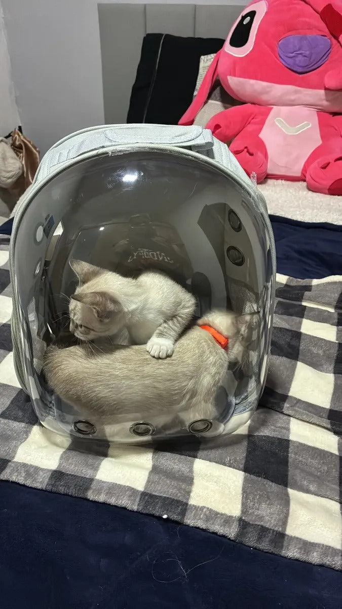 MALETA TIPO CAPSULA MASCOTAS PERRO GATO