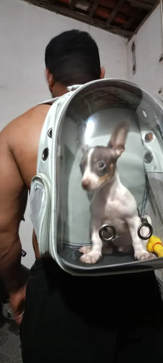 MALETA TIPO CAPSULA MASCOTAS PERRO GATO